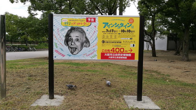 長居公園　大阪自然史博物館アクセス